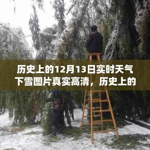 歷史上的12月13日實時下雪高清圖片，展現(xiàn)冬季雪景的迷人魅力