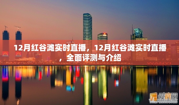 12月紅谷灘實時直播，全面評測與詳細介紹