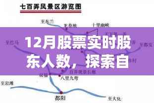 探索自然美景與股市背后的故事，股東人數(shù)揭秘與心靈寧?kù)o之旅