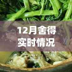 探秘巷弄深處的舍得驚喜，一家隱藏小巷中的特色小店揭秘的十二月故事