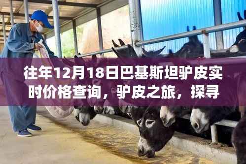 巴基斯坦驢皮價格實時查詢，探尋自然美景與內心寧靜之旅