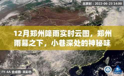 鄭州雨幕之下，雨云實(shí)時(shí)云圖與小巷特色小店探秘