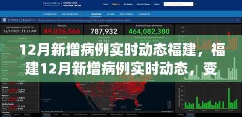 福建12月新增病例實時動態，變化中的學習之旅，鑄就自信與成就感的征程