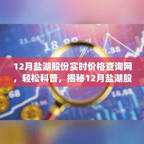 揭秘，如何輕松查詢鹽湖股份實(shí)時(shí)價(jià)格？十二月實(shí)時(shí)價(jià)格查詢網(wǎng)科普指南