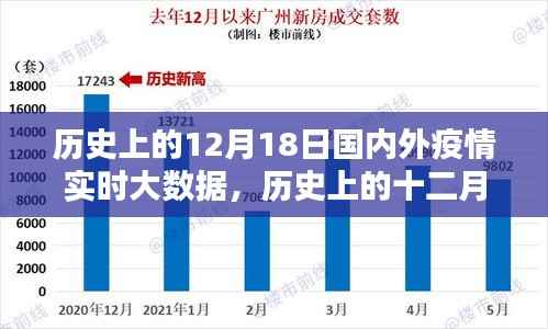歷史上的12月18日國內外疫情實時大數據回顧，疫情發展及其影響