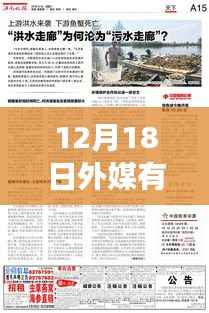 多維視角下的觀點碰撞，揭秘外媒實時媒體網站在12月18日的動態與探析