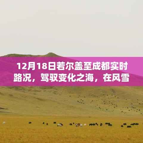 風雪若爾蓋至成都之路，駕馭變化之海，勵志傳奇啟程