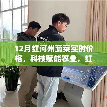 科技賦能下的紅河州蔬菜實時價格智能監控，開啟智慧農業新時代