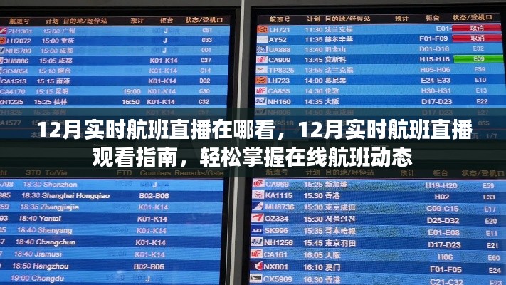 掌握在線航班動態，12月實時航班直播觀看指南