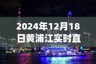 獨家直播，黃浦江畔璀璨瞬間——2024年12月18日實時直播記錄