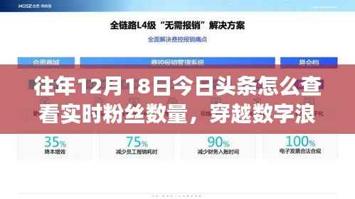 揭秘數字浪潮下的粉絲風云，如何在十二月十八日實時查看今日頭條粉絲數量？