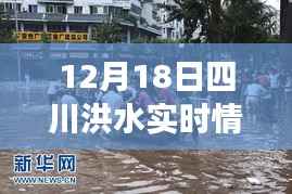 四川洪水退去后的寧靜美景，探索一次遠(yuǎn)離塵囂的心靈之旅（實時更新）