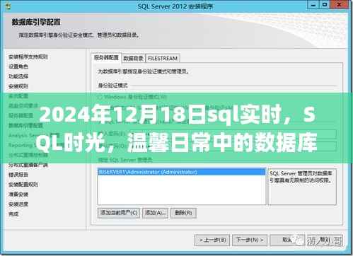 數(shù)據(jù)庫(kù)奇緣，SQL時(shí)光下的溫馨日常與實(shí)時(shí)數(shù)據(jù)探索（2024年12月18日）