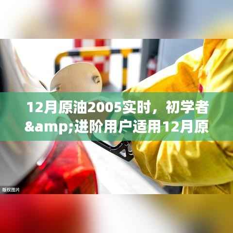 初學者與進階用戶指南，如何實時關注并洞察原油市場動態（2023年12月版）