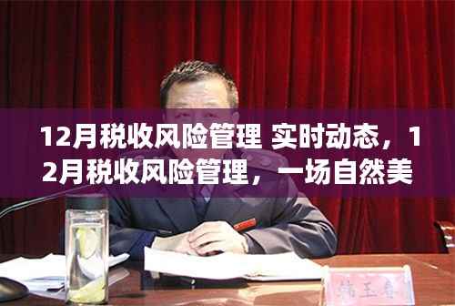 稅收風險管理實時動態，自然美景下的心靈之旅與風險管理探索