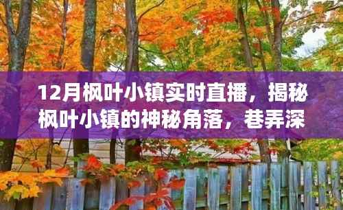 12月楓葉小鎮深度探索，神秘角落與巷弄小店的直播揭秘