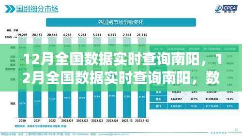 南陽12月全國數據實時查詢，公開透明化的雙刃劍效應解析