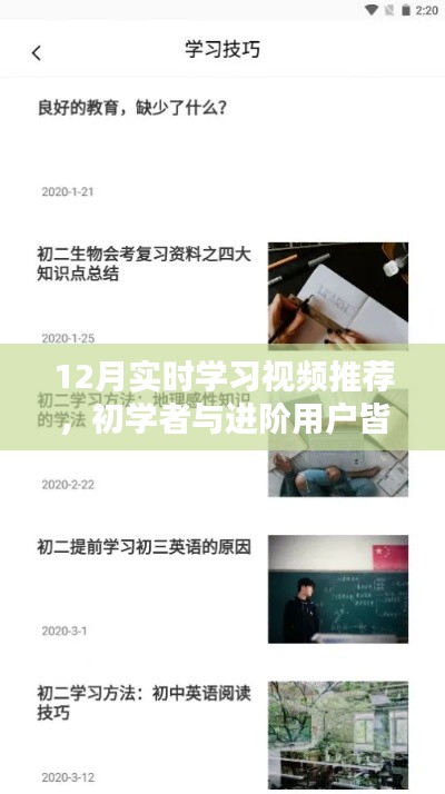 12月學習視頻推薦，適合初學者與進階用戶的實時學習指南