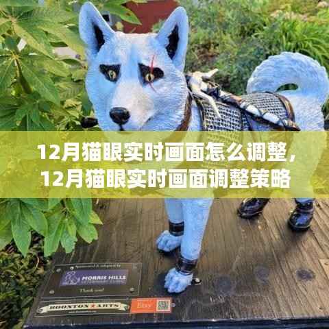 專業(yè)解析，12月貓眼實(shí)時(shí)畫面調(diào)整策略與實(shí)時(shí)調(diào)整技巧