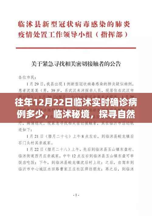 臨沭實(shí)時(shí)確診病例更新及秘境自然美景探尋之旅，重拾內(nèi)心的寧?kù)o與和諧