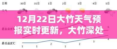 大竹天氣預報實時更新，聆聽自然之聲，掌握天氣動態