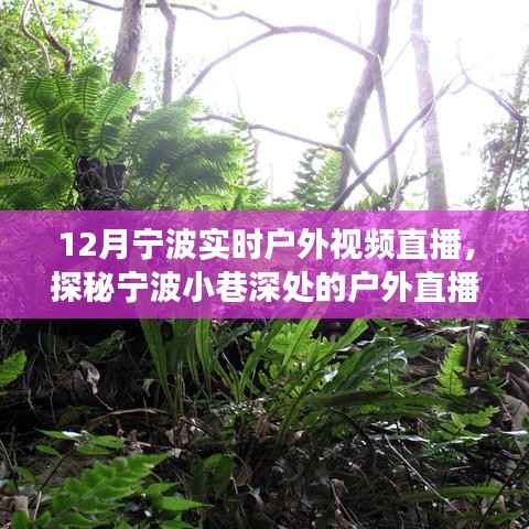 12月寧波戶外直播探秘，冬日風情直播秀，小巷深處的秘境展示