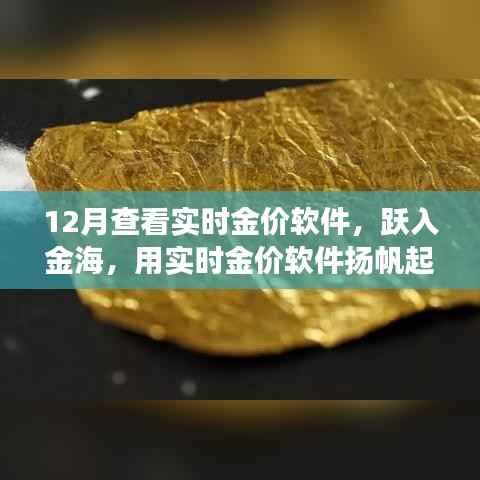 躍入金海，實時金價軟件助你揚帆起航，金銀財富與自信人生的學(xué)習(xí)之旅