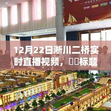 冬日淅川二橋之旅，追尋自然美景與內心寧靜的直播之旅