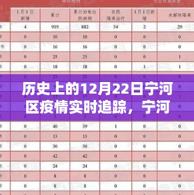 歷史上的12月22日寧河區疫情回顧與實時追蹤報告