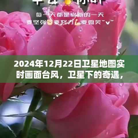 衛(wèi)星實時記錄，臺風天里的暖心瞬間與衛(wèi)星下的奇遇