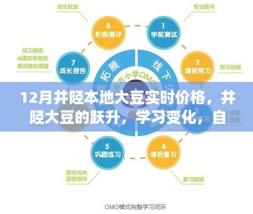 井陘大豆躍升，把握12月新機(jī)遇，實(shí)時(shí)價(jià)格與學(xué)習(xí)變化展現(xiàn)自信閃耀