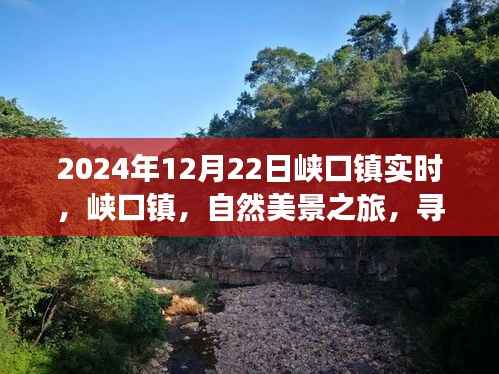 峽口鎮(zhèn)自然美景之旅，探尋內(nèi)心寧靜與平和的秘境（2024年12月22日實(shí)時(shí)報(bào)道）