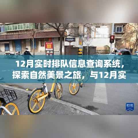 探索自然美景之旅，與實時排隊信息查詢系統共赴心靈寧靜之旅