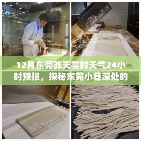 探秘東莞小巷深處的天氣秘境，特色小店實(shí)時(shí)故事與天氣預(yù)報(bào)