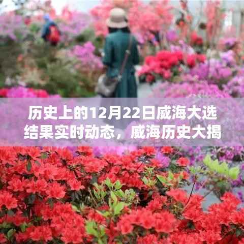 揭秘威海大選，歷史性的12月22日大選結(jié)果實(shí)時(shí)動(dòng)態(tài)回顧與解析