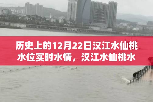 漢江水仙桃水位揭秘，探尋歷史特殊水情，實時掌握12月22日水位動態