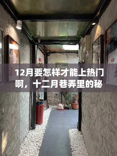 十二月巷弄探秘，特色小店點燃熱門探索之旅