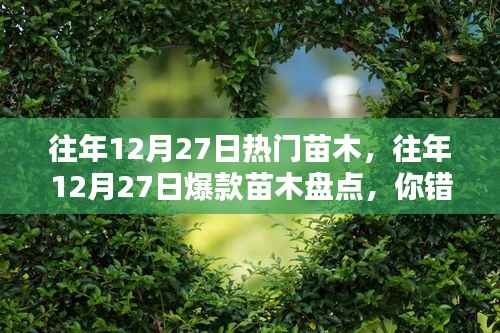 『小紅書熱門苗木全解析，盤點往年12月27日爆款苗木，你錯過了哪些熱門之選？』