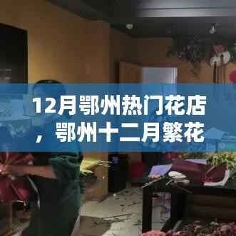 鄂州十二月熱門花店探秘，繁花盛宴的絢麗世界