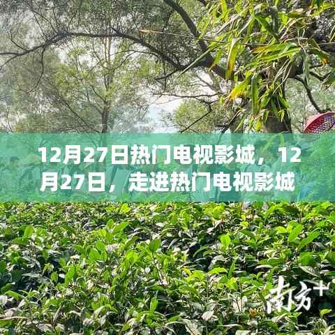 12月27日熱門電視影城，探尋變化中的學習之旅，播種自信的種子