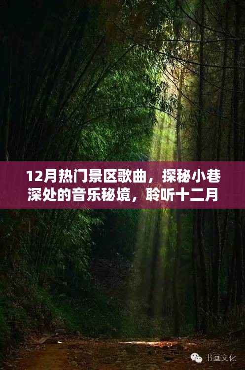 探秘十二月熱門景區音樂秘境，小巷深處的歌曲精選