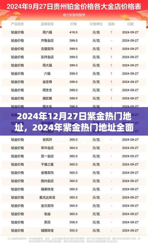 2024年紫金熱門地址全面評測，特性、體驗、對比及用戶群體深度解析
