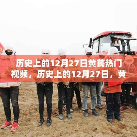 揭秘歷史上黃芪熱門視頻，探尋十二月二十七日的秘密時刻