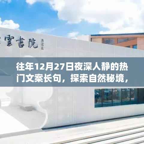 探索自然秘境，深夜星空下的心靈之旅，尋找內心的寧靜與寧靜的夜對話
