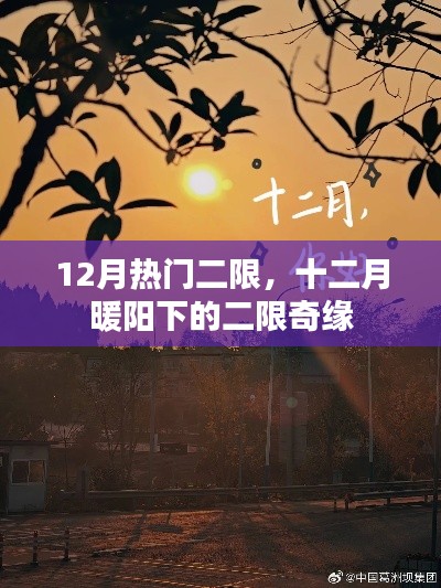 十二月暖陽下的二限奇緣，12月熱門二次限定活動盤點