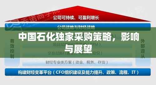 中國石化獨家采購策略，影響與展望