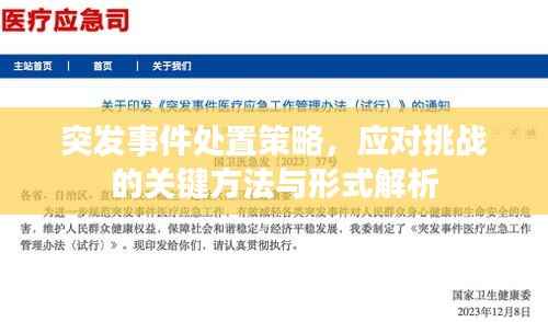 突發事件處置策略，應對挑戰的關鍵方法與形式解析