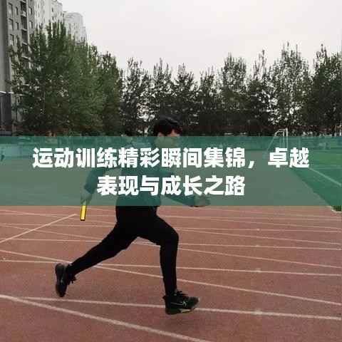 運動訓練精彩瞬間集錦，卓越表現與成長之路
