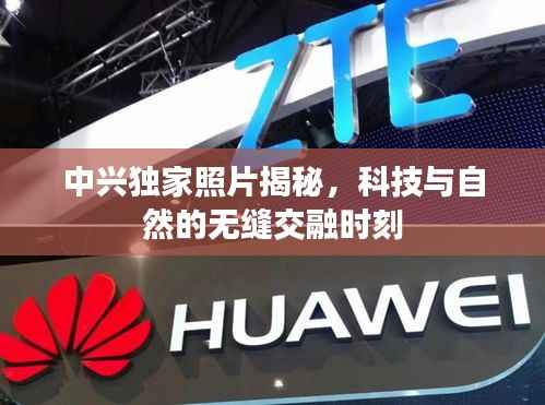 中興獨(dú)家照片揭秘，科技與自然的無縫交融時(shí)刻