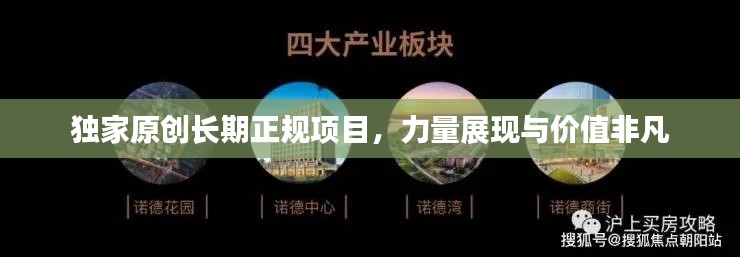 獨家原創長期正規項目，力量展現與價值非凡